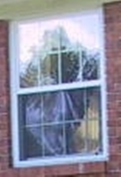 Woman in Window